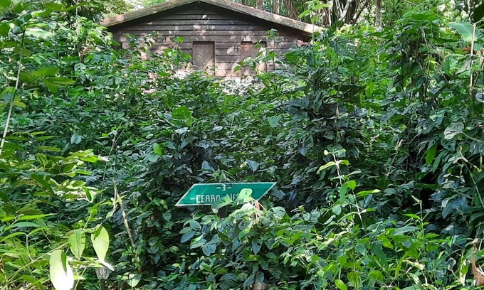 Mombacho Volcano Nature Reserve Cabin | Mombacho Lodge