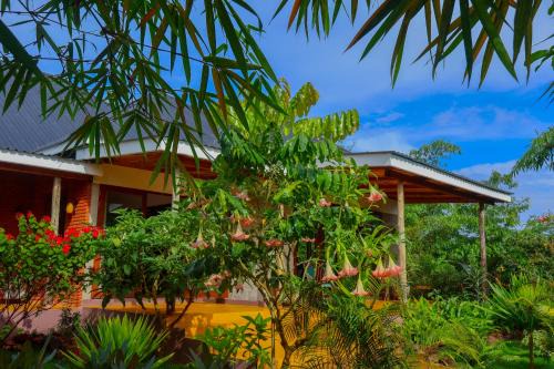 Lake Manyara National Park Cabin | Moonbow lodge