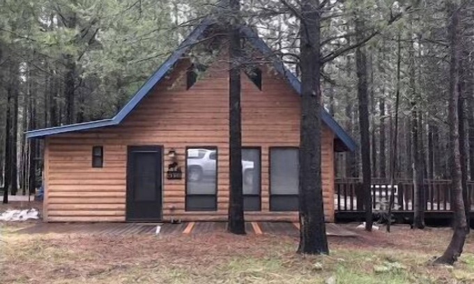 Island Park Cabin | Moose Tracks Inn - Cozy Mountain Cabin only 40 minutes from Yellowstone Park