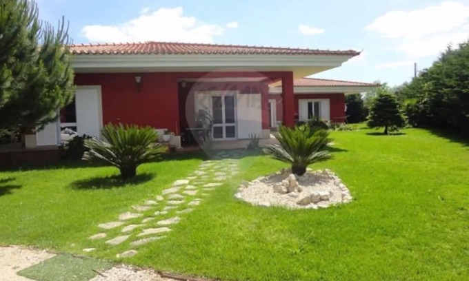 Salvaterra de Magos House | Moradia Family & Vila Arte Équestre