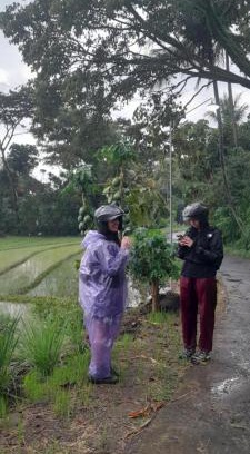 Banjarasri Other | Moto driver tour Borobudur , Rice terace, sacred waterfall