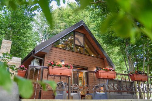 Cetinje House | Mountain harmony Lovćen