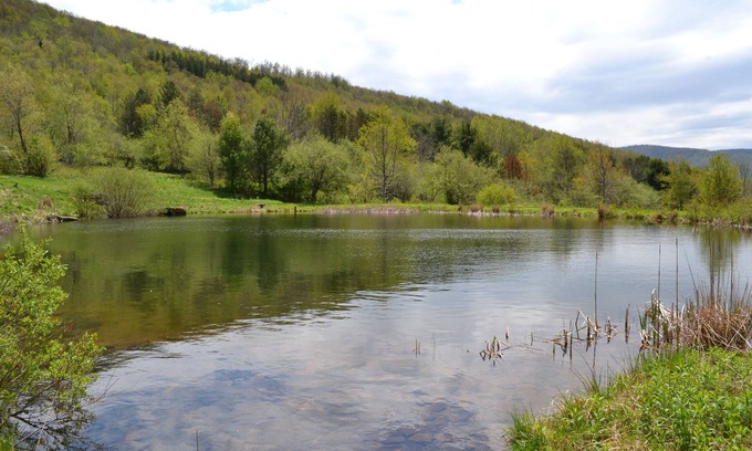 Hobart Cabin | Mountain Top Retreat, 116 private acres