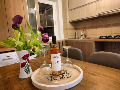 Petrosani Apartment | Mountain View Apartment