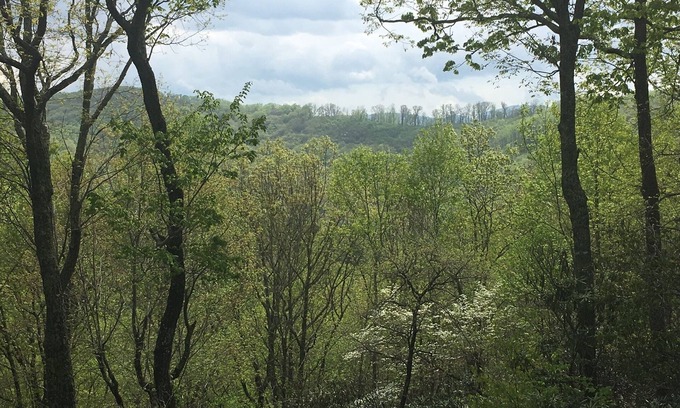Skyland Apartment | Mountainside Tranquility in South Asheville Near Biltmore & Parkway