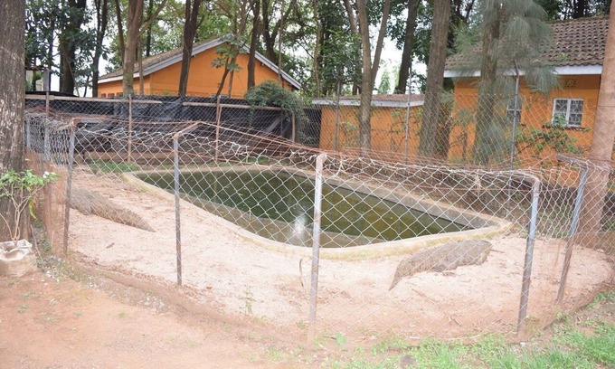Kisumu Bed & Breakfast | Mountainview Backpackers Kisumu. Live like a local. - Budget Hotel