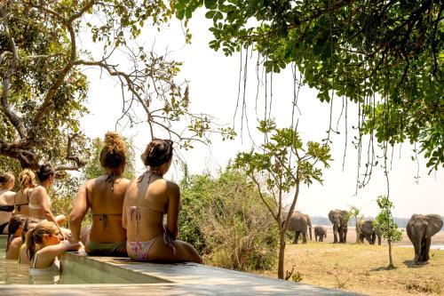 South Luangwa National Park Cabin | Msandile River Lodge