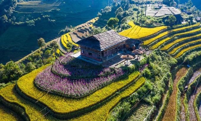 Mu Cang Chai House | Mu Cang Chai Big view homestay, tour & vegetarian