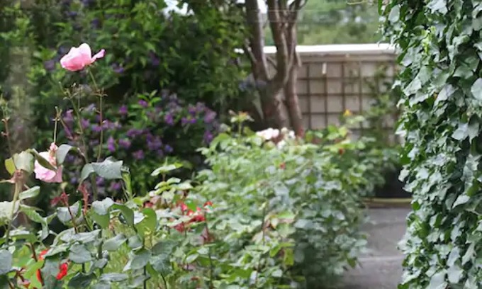 Boolteens Bed & Breakfast | Murphy's Farmhouse