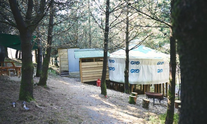 Glandyfi Other | Mushroom Yurt