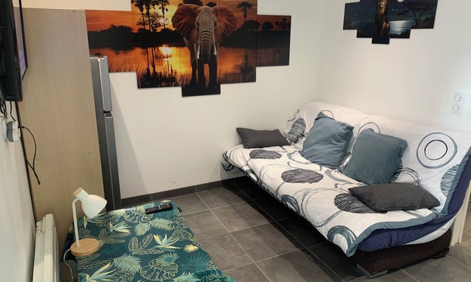 Joinville-le-Pont Apartment | MY SAFARI NEAR THE MARNE