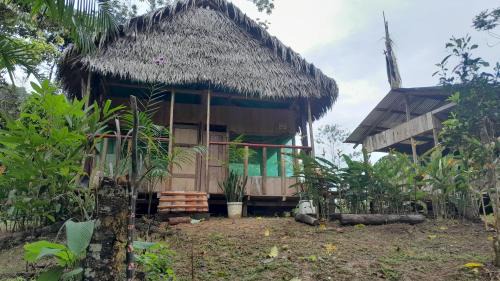 Amazonia Cabin | Nai-Chambira