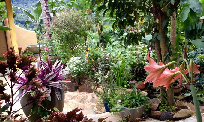 Deniyaya House | Natural Mystic Sanctuary - Valley View - Eco Lodge and Wildlife Reserve