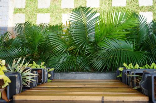 Peroorkada Apartment | Nature 2BHK AC Villa - Trivandrum