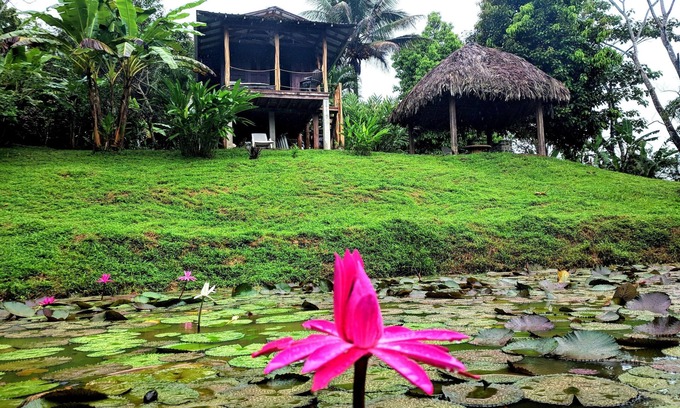 Bocas del Toro Cabin | Nature Lovers Cabin by Bluff Beach, beautiful garden with pond and wildlife !