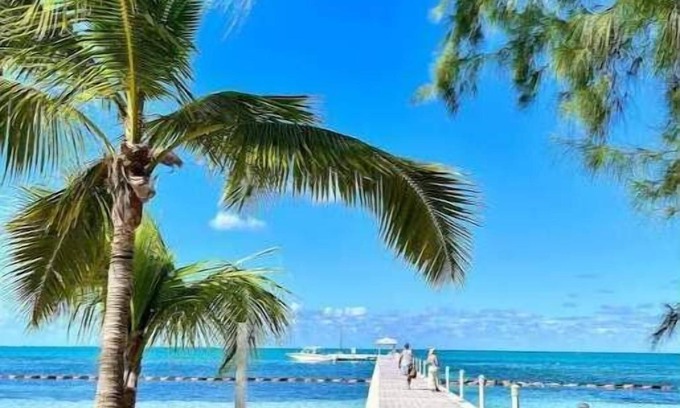 Old Man Bay House | Nature lovers paradise newly renovated