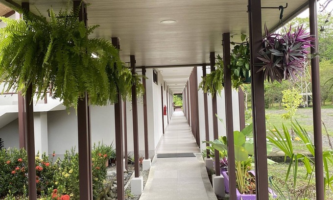 Cahuita Hotel | Nature rich home environment, minutes away from all state parks and beach towns.