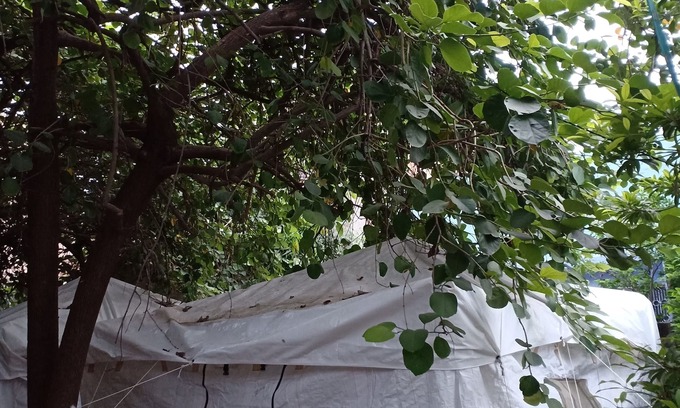 Jodhpur RV Rental | Nature trail camps & homestay