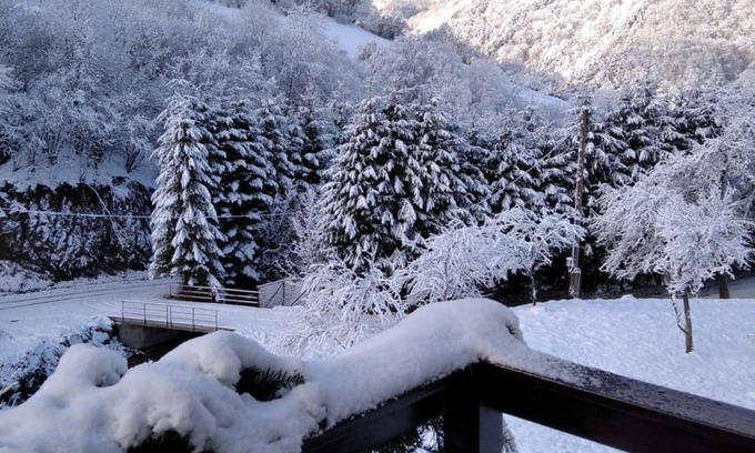 Rau Sadului Cabin | Nature View