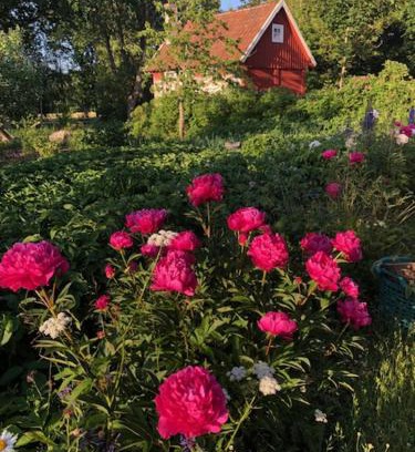 Ljungbyhed House | Naturnära på Ängaröds 1700-tals gård