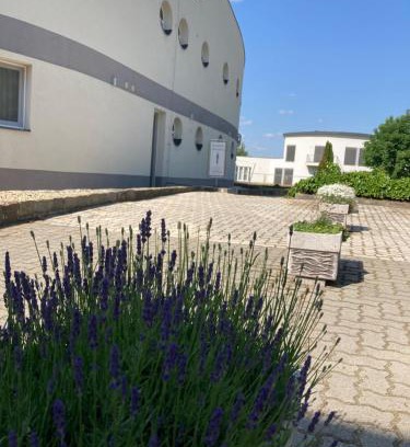 Dabas House | Nautilus Étterem és Panzió