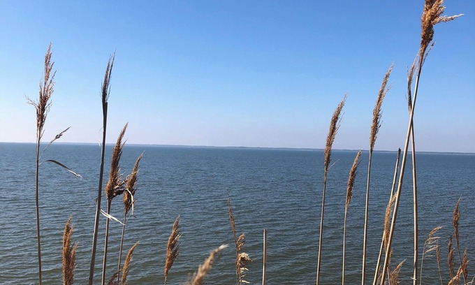 Greenbush Cottage | Near Chincoteague & Assateague IslandnCharming 2-bedroom cottage