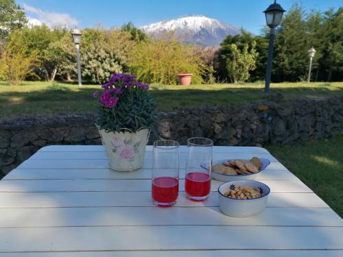 Bronte House | Nero Etna