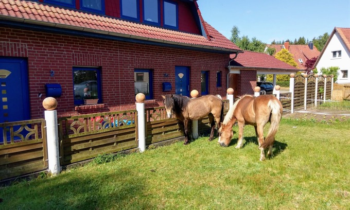 Bomlitz House | New Comfortable vacation home145m² garden/barbecue area,800m² playground, leisure park