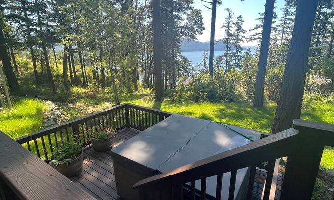 Eastsound House | New design, luxury home, views from the hottub, Close to town, come relax!