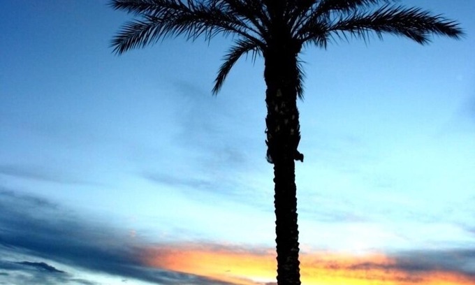 San Tan Valley House | NEW Opening NOW! 3 HEATED Pools Spa's GOLF Palms Mtns & Sunsets.Welcome!