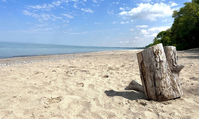 Dashwood Cottage | Newly-Renovated, 3-Bedroom Cottage + Bunkie, Steps to Private Beach, Grand Bend!