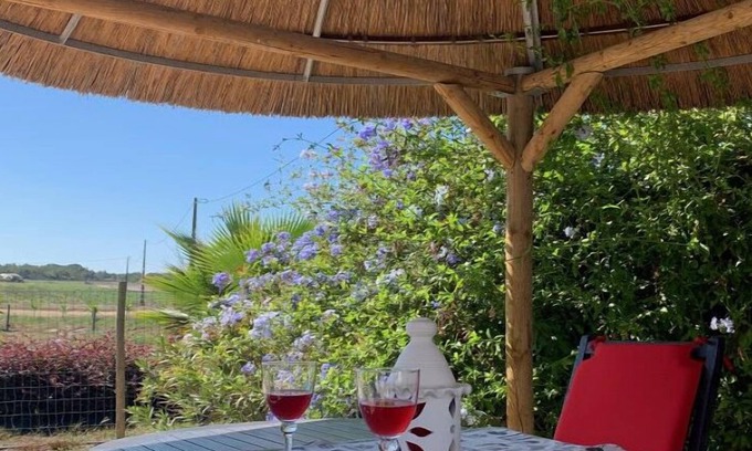 Cabeco de Aguia House | Nice country house in national park only 3km from the beaches.