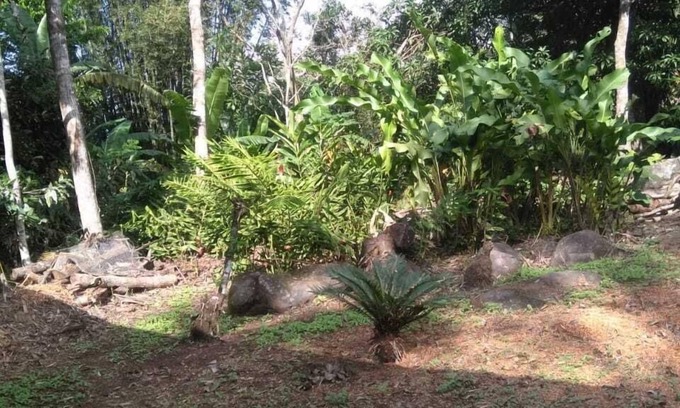 Catemaco House | Nice House Natural