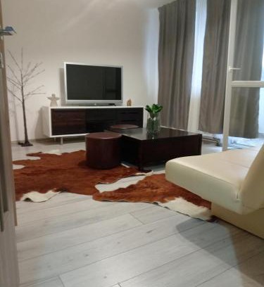 Ocna Mures Apartment | NicoResident