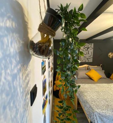 Hunedoara Apartment | Night Lotus