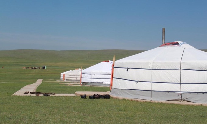 Tov House | Nomad Horse Camp