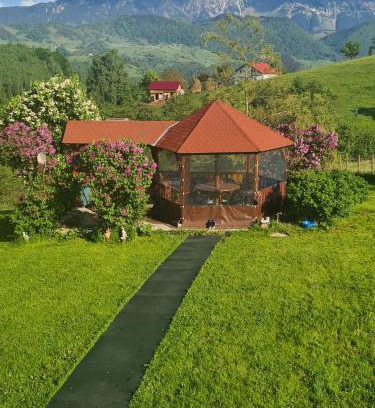 Moieciu de Jos House | Nona Highland Home