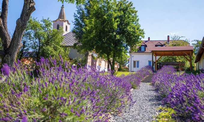 Nagygorbo House | Nora Guest House, Nagygörbő, Hungary