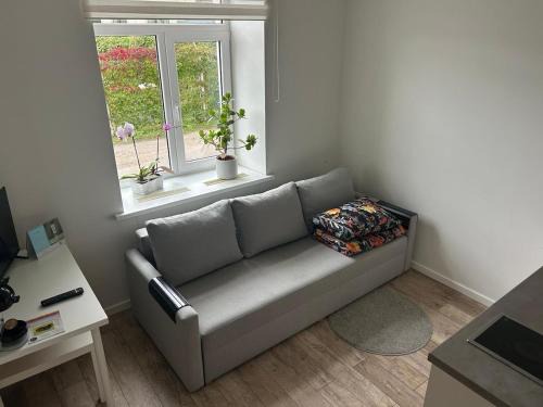 Vecmilgravis Apartment | Northern Lights small apartment