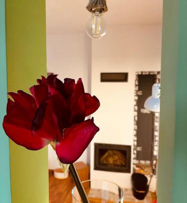 Petrosani Apartment | Noua Apart