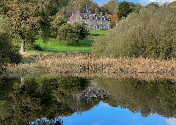 Tremain Bed & Breakfast | Noyadd Trefawr