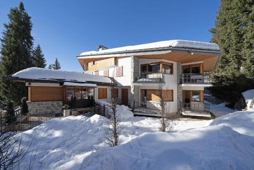 Campo Carlo Magno Apartment | Nuovo Appartamento Super Vista a Campiglio Parking Privato