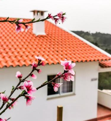 Tabua House | O Refúgio