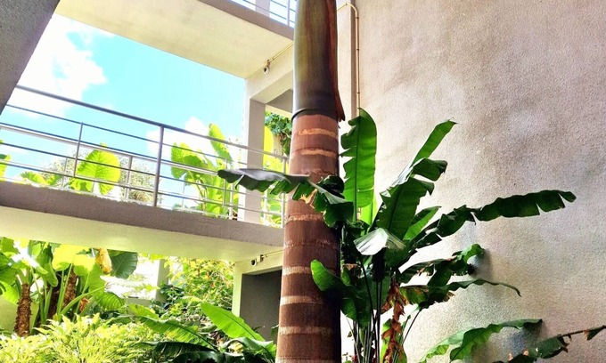 Beacon Hill Apartment | OASIS Apartments Simpson Bay