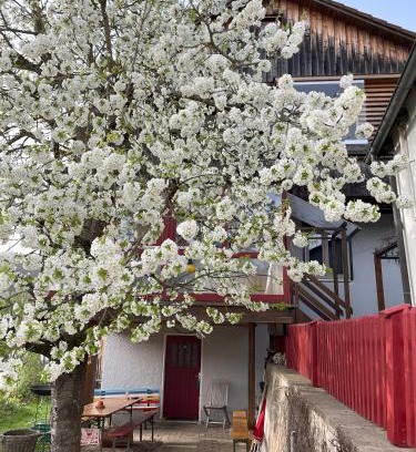 Solnhofen Apartment | Obertraum Appartement und Ferienwohnung