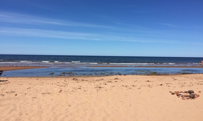 Savage Harbour Cottage | Ocean View - Cozy 1br + Den -Cute as a Button!