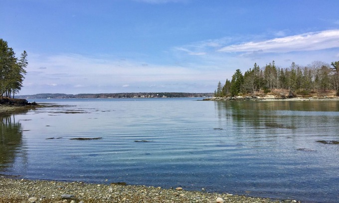 Salsbury Cove Cottage | Oceanfront Cottage at Acadia National Park, Bar Harbor/Little Puffin Cottage