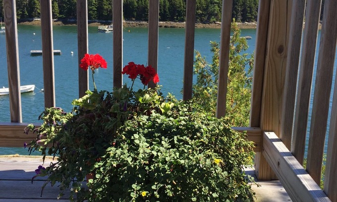 Harpswell Cottage | Oceanfront cottage with dock and float on beautiful Quahog Bay
