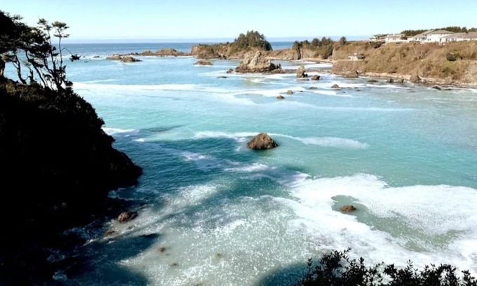 Brookings Apartment | OCTOPUS SUITE, fire pit, BBQ, wildlife viewing platform, shared oceanfront deck.