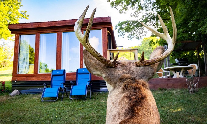 Town of Broome Cabin | Off-Grid, Buck Tiny House with Indoor Soaking Tub & Mountain Top Views